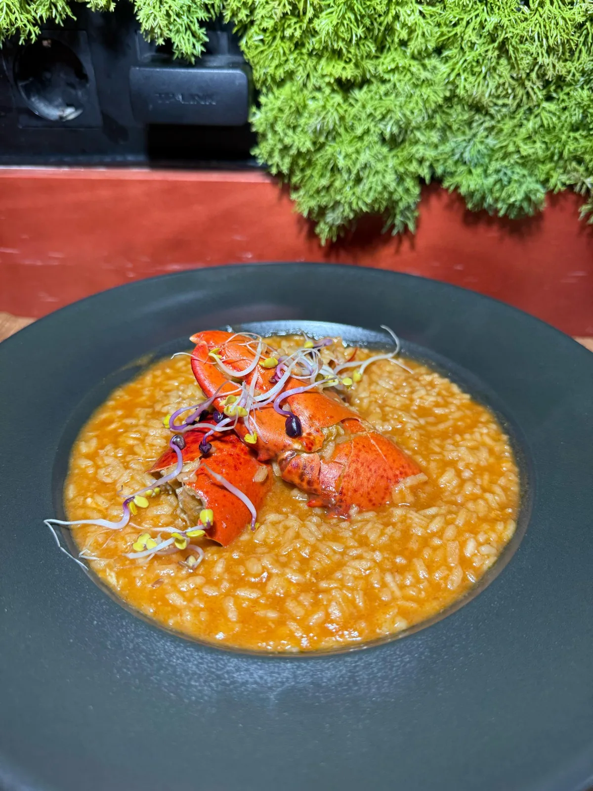 Arroz meloso con bogavante