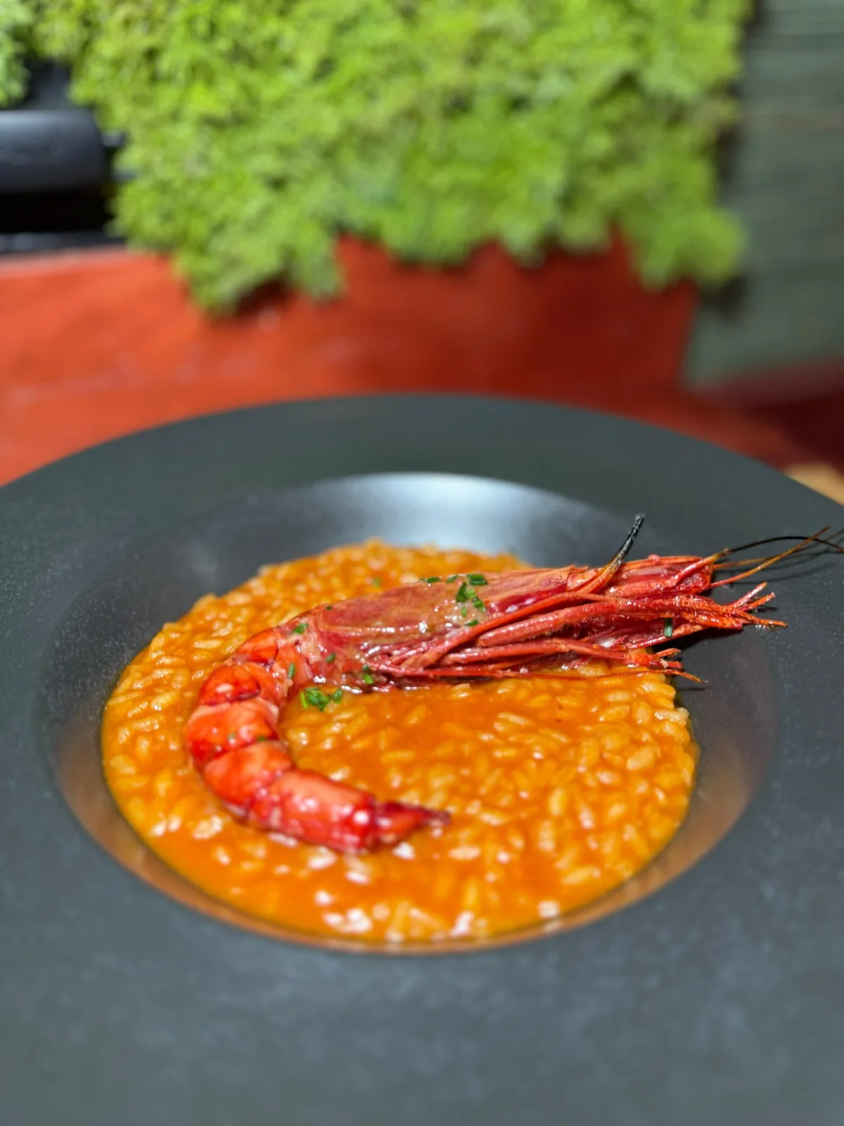 Arroz meloso con carabinero